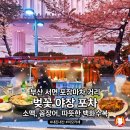 세븐일레븐 부산범천이편한점 | 서면 주당들의 노포 술집 내돈내산 문화양곱창 마라톤집 벚꽃 야장 포차