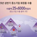 ‘K뷰티 새 주역’ 중소기업들이 3.3조 수출했다 이미지