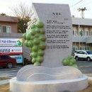 호미곶 7월 청포도(靑葡萄) ~/ 도 이미지