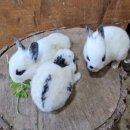 산내뜰생태어린이집 이미지