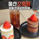 휴원 | 울산대공원 대형브런치카페 소휴원ㅣ디저트 및 커피 솔직 후기