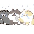 마노헤어살롱