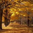 여의서로1길 이미지