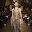 이리스(IRIS) 이미지