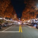 벚꽃로 가로수길 이미지