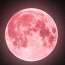 스트로베리문 이미지