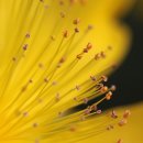 보노골프 아카데미 이미지