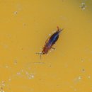 경상북도 농업기술원 이미지