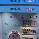 빤쮸하우스 이미지