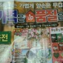 천리마 이미지