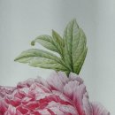 [주말]보테니컬 아트 이미지