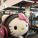 돼지세상 이미지