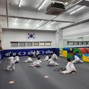 마음튼튼 태권도 이미지