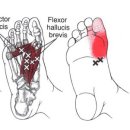 의선한의원 이미지