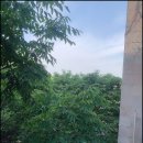 아람반점 이미지