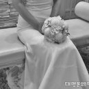웨딩프로메사