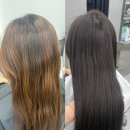 HAIR SALON 지인 | 차심 교대점 | 브라운 톤다운 염색 후기💇🏻‍♀️