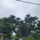 다온농산 | 210608 ~ 17 일상♡