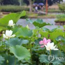 대구지방기상청 이미지