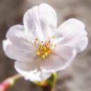 장무공원 화장실 이미지