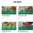 엄마 잘 다녀와 이미지