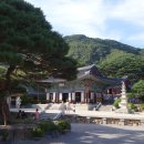 (주)정다운 여행 이미지