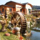 당산리사슴농장 이미지