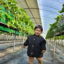 김용태농장 이미지