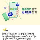 서울찬치과 네이버블로그