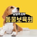 동물보육원 안산지부 이미지