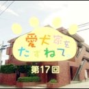 마이도그(My Dog) 이미지