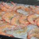 합천나우누리펜션 이미지