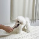 살랑가협동조합 이미지