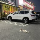 풍천민물장어직판장 | 서오릉 장어맛집 풍천민물장어직판장 내돈내산 후기