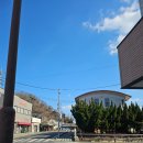 대마도 렌트카 내산 후기 추천! 히타카츠항구 바로 앞^----^👍대마도 운전 주의사항! 대마도 교통사고 시...