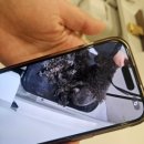 강아지미용실_편안 | 용암동 애견미용 추천 그루플러피 후기강아지가 편안해하는 미용실 #청주애견미용 #용암동애견미용...