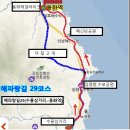 해파랑길 29코스 이미지
