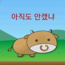 카우카우 이미지