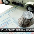 “계도 기간 없다”, 한 번 찍히면 바로 과태료 5만원? 이미지