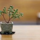 사람과뜰