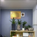 김은영피부관리