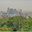미성동-8 이미지