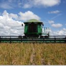 대풍농장 이미지