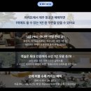 제주기억 | 파르나스 제주 수영장 시간 후기 준비물 객실 콘페티 할인 꿀팁