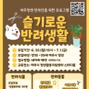 슬기로운미용생활