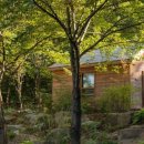 작은나무숲 이미지