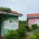 펫츠올 동물의료원 | 우리 멍멍이 우주와 여름놀이! 태안으로 패들보드 타러갔지롱~! (with.펫츠고)