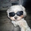 현대마트 이미지