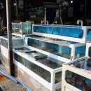 평남횟집 이미지