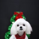 견사무소 호텔 유치원 이미지